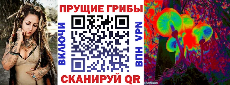 Галлюциногенные грибы Magic Shrooms  Холмск 